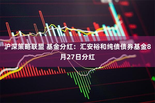 沪深策略联盟 基金分红:汇安裕和纯债债券基金8月27日分红