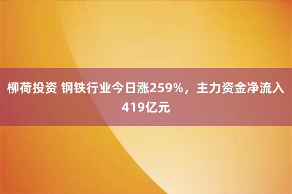 柳荷投资 钢铁行业今日涨259%,主力资金净流入419亿元