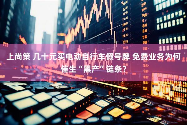 上尚策 几十元买电动自行车假号牌 免费业务为何催生“黑产”链条？