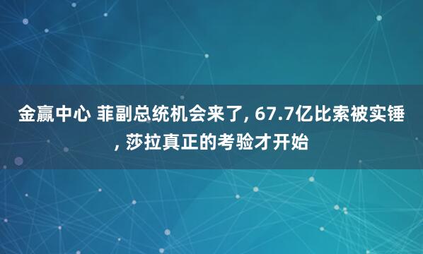 金赢中心 菲副总统机会来了, 67.7亿比索被实锤, 莎拉真正的考验才开始